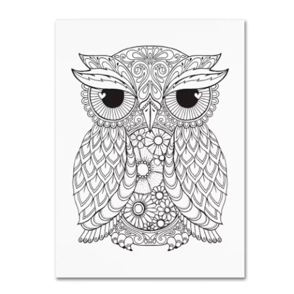 Hello Angel 'Owl 2' Canvas Art, 18x24, Trademark Fine Art, Mfr#: ALI2836-C1824GG